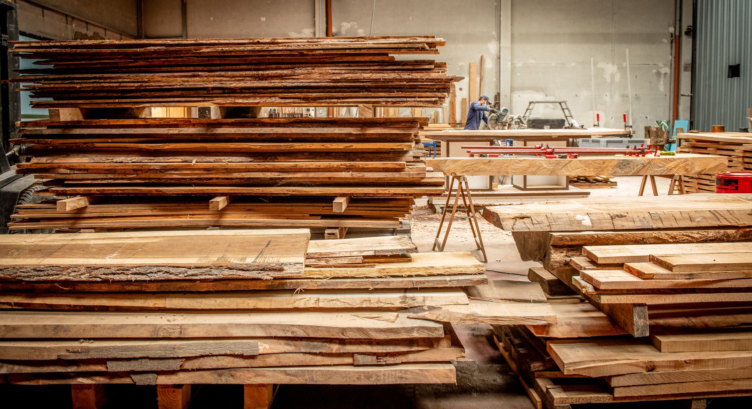 Hub.brussels _ Sonian Wood-LOW