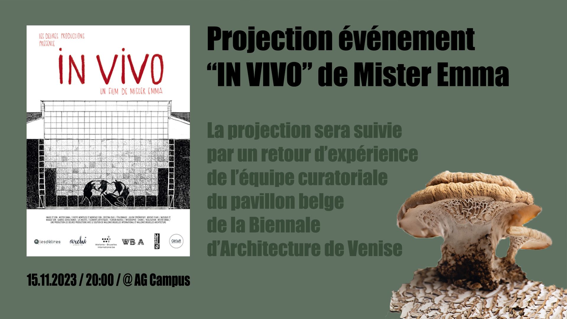 In_Vivo-Event151123_16.9